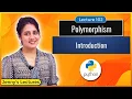 Polymorphism in Python Python Tutorials for Beginners