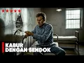 Download Lagu NAPI DENGAN IQ SUPERIOR KABUR DARI PENJARA HANYA DENGAN SENDOK ‼️
