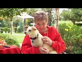 Silverado Sierra Vista Memory Care Community Azusa CA Virtual Tour
