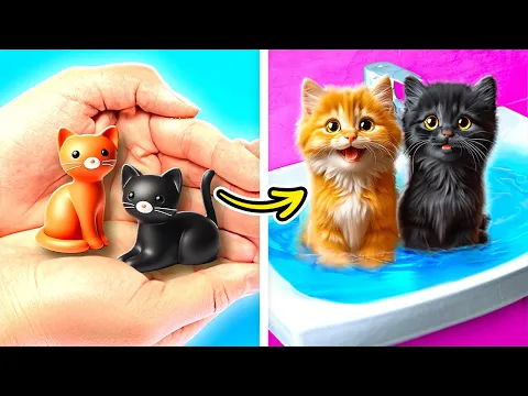 Download MP3 Save These Tiny Kittens 😿 Useful Hacks for Pet Owners