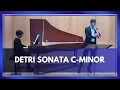 Download Lagu Detri - Sonata in c minor, Jan Fuß \u0026 Valentina Villasenor