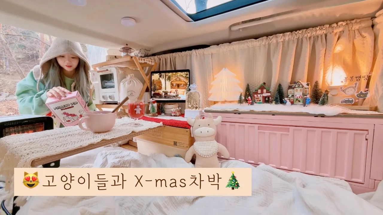 😽고양이들과 함께하는 영하의 겨울 크리스마스🎄 감성 차박캠핑 | 솔로캠핑의 크리스마스용품과 차박용품 소개 | 딥포레스트캠핑장 썸네일