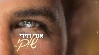 אודי דוידי שוקי 