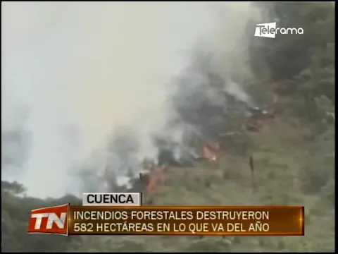 Incendios forestales destruyeron 582 hectáreas en lo que se va del año
