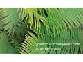 Download Lagu Edgar Froese - Epsilon In Malaysian Pale (Original CD)