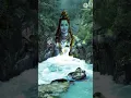 Lagu Hari Om Namah Shivay | Shiv bhakti #shorts #viral #trending