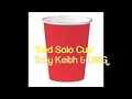 (Toby Keith)- Red Solo Cup with lyrics