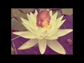 Download Lagu Meta Mantra - August 2018 DJ Set - Progressive Trance / Full-On / Psytrance