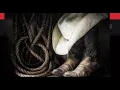 Cody jinks- loud and heavy 1 hour