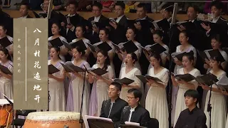 一缕桂香，一曲秋意，在《八月桂花香》中感受独属于金秋的东方浪漫 | 中央民族乐团