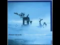 Фіалки