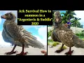 Ark Survival How to summon in a Argentavis Big bird Saddle 2020