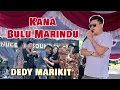KANA BULU MARINDU By Dedy Marikit Lagu Dayak Viral Terbaik Terbaru 2025 Artis Dayak Kalimantan