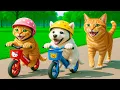 Download Lagu Mama Cat Trims Fur on the Farm and Makes Tiger Hat For Kittens At Home🐾🎩🐯