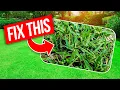 4 Best Crabgrass Control Strategies from a Lawn Pro