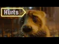 Rocket Hurts Guardians of the Galaxy Vol 3 4k
