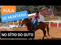 Download Lagu O SÍTIO DO GUTO ESTÁ CADA DIA MELHOR
