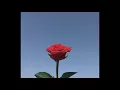 Download Lagu Boy Pablo - Flowers