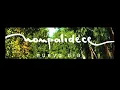 Nonpalidece - la flor