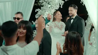                                                 دندنها