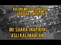 Download Lagu Suara Inap Asli KALIMANTAN mampu mebuat koloni besar walet