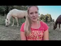 Download Lagu I am selling 2 of my horses