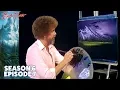 Lagu Bob Ross - Arctic Beauty (Season 6 Episode 7)