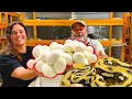 GIANT Python Almost Strikes Me During this Egg Pull
