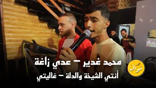 محمد غدير وعدي زاغة أنتي الشيخة والدلة وانتي الفنجان غاليتي ضاع العمر بلغربة جديد 2022  محمد غدير وعدي زاغة أنتي الشيخة والدلة وانتي الفنجان غاليتي ضاع العمر بلغربة جديد 2022