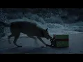 UPS STORE CHRISTMAS 22797