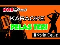 Lagu PELAS TERI - KARAOKE DANGDUT KOPLO - ALVI ANANTA - NADA CEWE