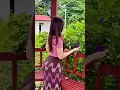 Download Lagu Mooi meisje