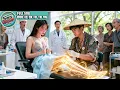 Download Lagu Wanita CEO Lumpuh 10 Tahun, Dokter Terbaik Menyerah, Disembuhkan Tabib Keliling Dengan Satu Jarum