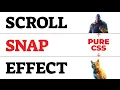Pure CSS Scroll Snap Effect - Smooth Section Snapping Scroll