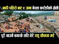 Download Lagu badhi pahiro 2025 बाढी पहिरो बाट ९ जना बेपत्ता करोडौंको क्षेती पुरै गाउँ बगायो यति धेरै पशु चौपाया