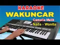 Download Lagu WAKUNCAR - KARAOKE | NADA WANITA || CAMELIA MALIK