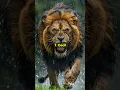 Download Lagu Top 10 Most Powerful Lions In The World #top #top10 #animals #lion #scarface #mrt #facts #powerful