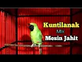 Download Lagu Pancingan Cucak Ijo Bongkar Isian kuntilanak Mix Mesin Jahit Kasar