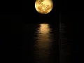 Download Lagu #night #music #love #amaran #vennilavusaaral