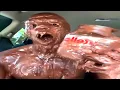 Download Lagu Perfectly Cut Screams Memes 7