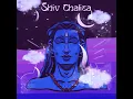 Shiv Chalisa (feat. Palak Joshi)