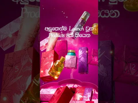 අලුතෙන්ම Launch වුණු අපේ Moonlight Lilies Beauty & Fragrance Collection එක දැන්ම ඔයාගෙ කරගන්න!🩷✨🥳