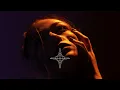 ivri - NOISE