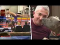 Cesar Millan s Dog Bit Gymnast and Killed Actor s Dog Lawsuit