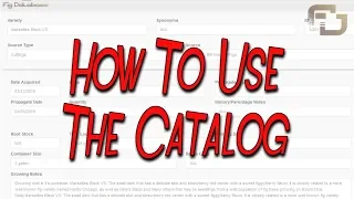 How to use the catalog Fig Database