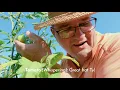 Painter Gardener and Funeral Director - Bolin-Dierkes Funeral Home Commercial Spot