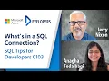 What s in a SQL Connection SQL Tips for Developers 0103