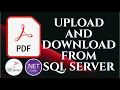 PDF Upload and Download from SQL Server ASP NET Core Entity Framework Core