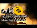 Download Lagu REIKI PARA A SAÚDE DO INTESTINO DELGADO E INTESTINO GROSSO