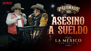 Palomazo Norteño - Asesino a Sueldo ( Video Oficial )